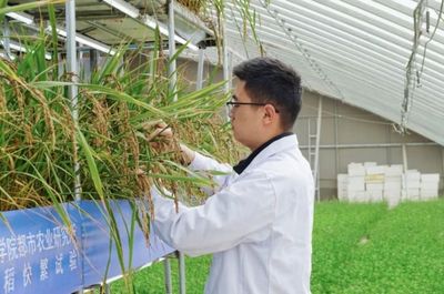 國(guó)際首次試驗(yàn)成功，核心技術(shù)源自天府新區(qū)科技推廣與應(yīng)用服務(wù)